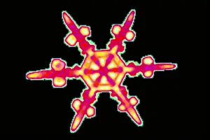 Crystal Prints: Snowflake