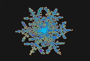 Crystal Prints: Snowflake