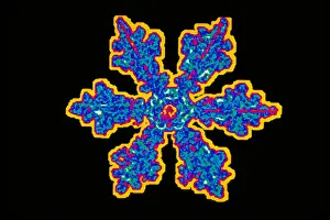 Cold Prints: Snowflake