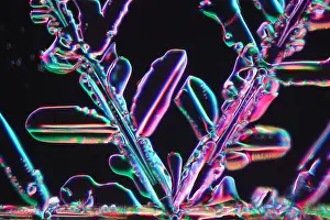 Crystal Prints: Snowflake
