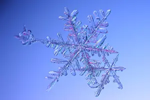 Crystal Prints: Snowflake
