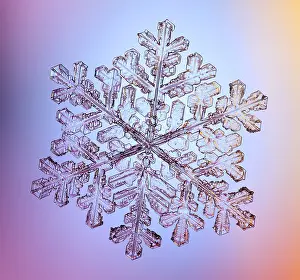 Form Prints: Snowflake