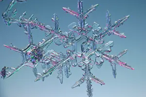 Crystal Prints: Snowflake