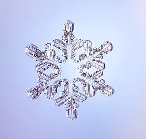 Form Prints: Snowflake