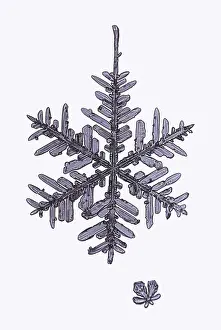 Snowflake
