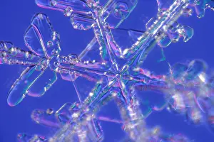 Nature, History, Science Prints: Snowflake