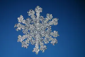 Nature, History, Science Prints: Snowflake