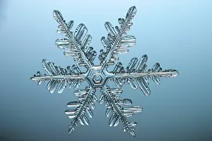 Nature, History, Science Prints: Snowflake