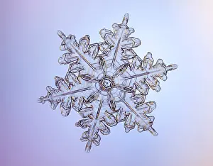 Form Prints: Snowflake
