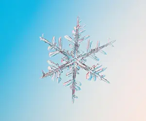 Mixed Science Images Prints: Snowflake