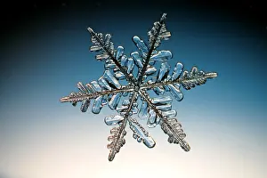 Nature, History, Science Prints: Snowflake
