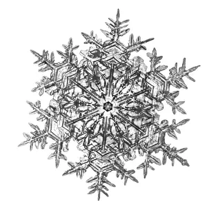 : Snowflake