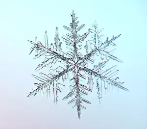 Misc 2 Prints: Snowflake Under the Microscope