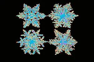 Crystal Prints: Snowflakes