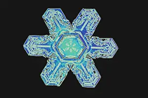 Crystal Prints: Snowflakes