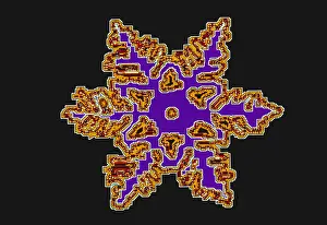 Crystal Prints: Snowflakes