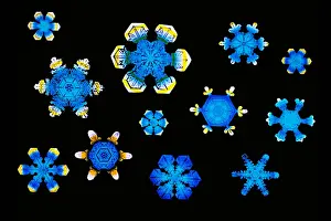 Crystal Prints: Snowflakes