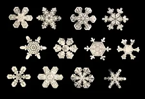 Crystal Prints: Snowflakes