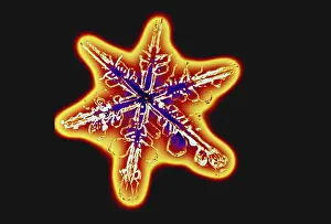 Crystal Prints: Snowflakes
