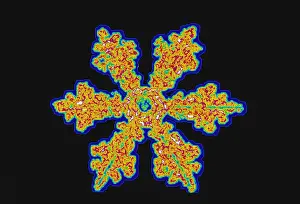 Cold Prints: Snowflakes