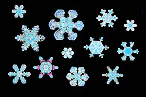 Cold Prints: Snowflakes