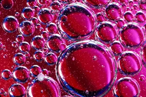 Liquid Prints: Solvents Interacting