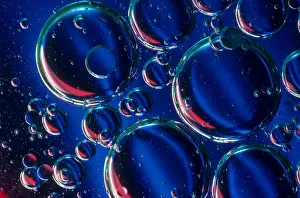 Bubble Prints: Solvents Interacting