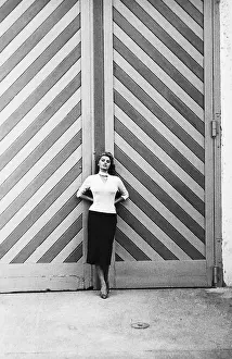 Sophia Loren