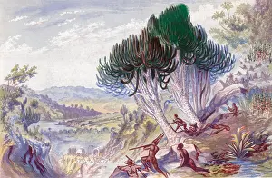 Empire Prints: South Africa, Khoikhoi Attack Colonials, 17th Century
