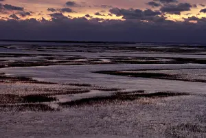 High Prints: South Carolina Marsh at Sunrise