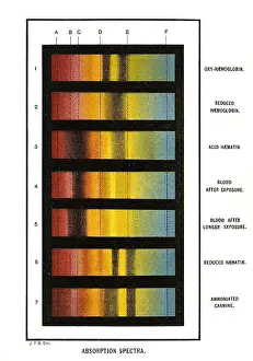 Chart Prints: Spectra Chart, Blood Samples, 1894