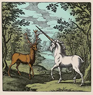 Monochrome Prints: Stag and Unicorn, 17th Century