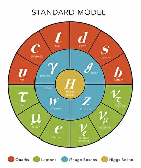 Circle Prints: Standard Model, Particle Physics