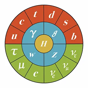 Circle Prints: Standard Model, Particle Physics