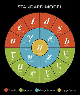 Particles Prints: Standard Model, Particle Physics