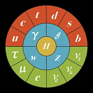 Particles Prints: Standard Model, Particle Physics