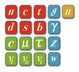Particles Prints: Standard Model, Particle Physics