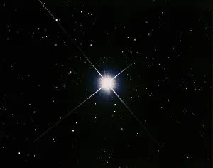 Prints of The bright star Sirius (Alpha Canis Majoris) in Canis Major is a binary star with a magnitude of 1.47. 1/97, Dayton, Ohio 16 F4.5, Newtonian, 30 min. 100 Royal Gold : Star Sirius, Alpha Canis Majoris, Astronomy