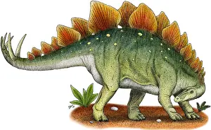 Extinct Prints: Stegosaurus