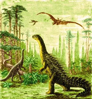Prehistoric Prints: Stegosaurus and Compsognathus Dinosaurs