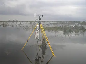 Instrument Prints: Stick Net