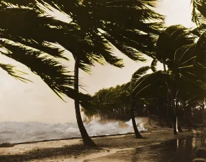 Cyclone Prints: Storm Surge