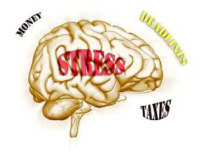 Concept Prints: Stress