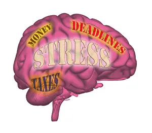 Concept Prints: Stress