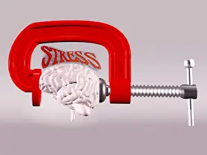 Concept Prints: Stress