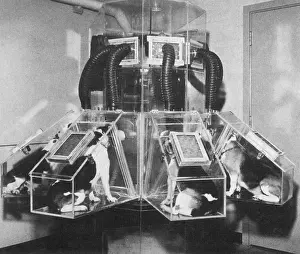Nuclear Prints: Studying Radiation Effects, 1970s