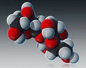 Atomic Prints: Sucrose, Molecular Model