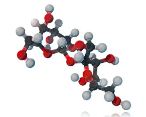 Atomic Prints: Sucrose, Molecular Model