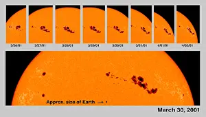 Outer Prints: Sunspot Series, Solar Cycle 23, 2001