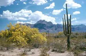 Landscape Prints: Superstition Mountains
